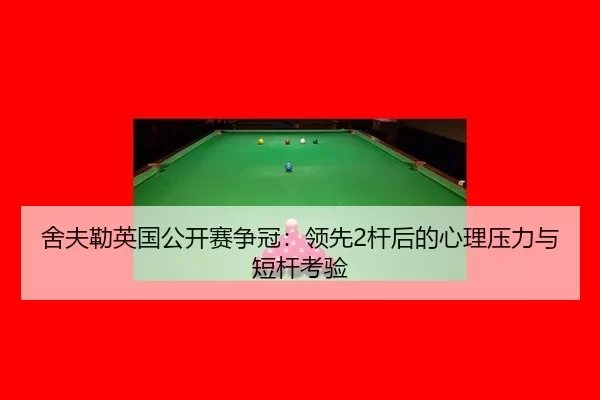 she-fu-lei-ying-guo-gong-kai-sai-zheng-guan-ling-xian-gan-hou-de-xin-li-ya-li-yu-duan-gan-kao-yan-3-172.jpg